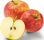 Bio Äpfel bei Netto Marken-Discount im Oberhonnefeld-Gierend Prospekt für 1,99 €