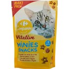Snack pour chat - CARREFOUR COMPANINO VITALIVE - Carrefour Snack pour chat - CARREFOUR COMPANINO VITALIVE à 2,49 € dans le catalogue Carrefour