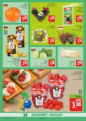 Blumen im Marktkauf Prospekt in Altenburg Aktueller Marktkauf Prospekt mit Blumen, "AUSWAHL RIESIG, PREISE NIEDRIG", Seite 9