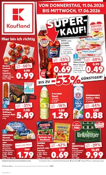 Weihnachtsstern - gnstige Angebote und weitere Dekorationsartikel
