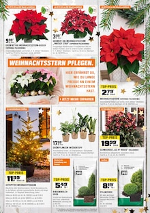 Weihnachtsbaum im OBI Prospekt "BIBERSTARKE ANGEBOTE" mit 23 Seiten (Weimar)