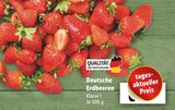 Erdbeeren Angebot in Meinerzhagen Erdbeeren im aktuellen Prospekt bei Lidl in Meinerzhagen