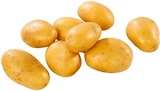 Speisekartoffeln von Andre Sieben aus Toenisvorst im Angebot bei Kaufland in Nettetal Speisekartoffeln von Andre Sieben aus Toenisvorst Angebote bei Kaufland Nettetal für 2,49 €