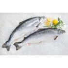 Saumon Atlantique entier ASC FILIÈRE QUALITÉ CARREFOUR - FILIERE QUALITE CARF en promo chez Carrefour Versailles à 10,50 €