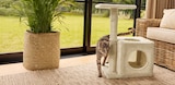 Arbre à chat moyen modèle - ZOOFARI en promo chez Lidl Arbre à chat moyen modèle - ZOOFARI dans le catalogue Lidl