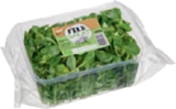 Bio-Feldsalat im Angebot bei tegut in Mainz Bio-Feldsalat Angebote von tegut... Bio bei tegut Mainz für 1,49 €