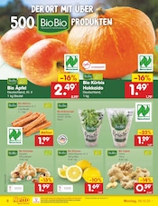 Aktueller Netto Marken-Discount Prospekt mit Kürbis, "Aktuelle Angebote", Seite 6