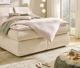 Aktuelle Boxspringbett Angebote bei Höffner in Köln Aktuelles Boxspringbett Premium Angebot bei Höffner in Köln ab 1.799,00 €