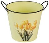 Aktuelle Blumentopf Angebote bei Penny in Karlsruhe Aktuelles Deko-Accessoire aus Zink Angebot bei Penny in Karlsruhe ab 3,00 €