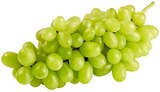 Helle Tafeltrauben im aktuellen nahkauf Prospekt