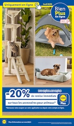 Prix et réduction Décoration Extérieure dans le prospectus Lidl en cours Offre Décoration Extérieure dans le catalogue Lidl du moment à la page 33