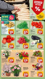 Ähnliche Stiefmütterchen Angebote im Prospekt "Dein Markt" von REWE in Essen Ähnliche Angebote wie Stiefmütterchen im Prospekt "Dein Markt" auf Seite 5 von REWE in Essen