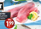 Wels-Filet Angebot in Oersdorf Wels-Filet im aktuellen Prospekt bei famila Nordost in Oersdorf