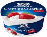 Cremig & Quarkig Erdbeere im Angebot bei REWE in Weinheim Cremig & Quarkig Erdbeere Angebote von Weihenstephan bei REWE Weinheim für 0,69 €