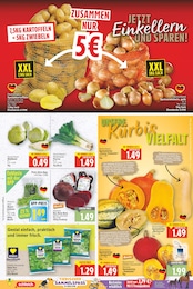 Rucola Angebot im aktuellen E center Prospekt auf Seite 5