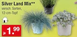 Silver Land Mix für 1,99 € bei Zimmermann im Angebot Silver Land Mix im aktuellen Zimmermann Prospekt
