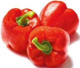 Paprika rot für 1,79 € bei Netto mit dem Scottie im Angebot Paprika rot im aktuellen Netto mit dem Scottie Prospekt