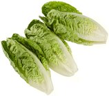 REWE - Romana Salatherzen Angebot im Prospekt Romana Salatherzen bei REWE im Prospekt "" für 1,19 €