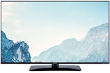 Aktuelles LED TV 43 LED 7251 B oder LED TV 55 LED 7251 B Angebot bei expert in Falkensee ab 359,00 €