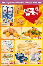 REWE Kartoffeln im Prospekt 