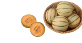 Melone im tegut Prospekt Cantaloupemelone im aktuellen tegut Prospekt für 2,99 €