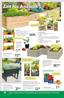 Tomaten im BayWa Bau- und Gartenmärkte Prospekt "Entscheiden Sie selbst" mit 16 Seiten (Nürnberg)