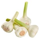 Knoblauch im REWE Prospekt Frischer Knoblauch von REWE Regional im aktuellen REWE Prospekt für 0,89 €