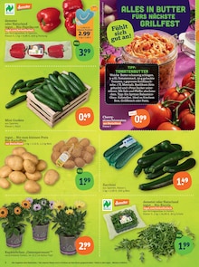 Blumen im tegut Prospekt "tegut… gute Lebensmittel" mit 23 Seiten (Jena)