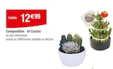 Composition et Cactus à 12,99 € dans le catalogue Carrefour