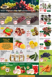 Pflanzen im GLOBUS Prospekt in Hoyerswerda Aktueller GLOBUS Prospekt mit Pflanzen, "Aktuelle Angebote", Seite 9