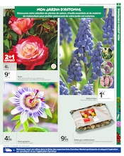 Plantes Angebote im Prospekt "PRÉPAREZ L’AUTOMNE : JARDIN - BRICOLAGE" von Carrefour Market Plantes Angebote im Prospekt "PRÉPAREZ L’AUTOMNE : JARDIN - BRICOLAGE" von Carrefour Market auf Seite 5