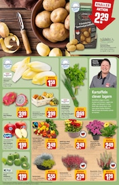 Dekoration im REWE Prospekt in Fürth Aktueller REWE Prospekt mit Dekoration, "Dein Markt", Seite 13