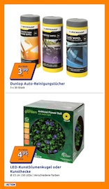 Kunstblumen im Action Prospekt in Rodgau Aktueller Action Prospekt mit Kunstblumen, "Wochenangebote", Seite 9