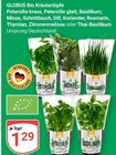 Aktuelles Bio Kräutertöpfe Petersilie kraus Angebot bei GLOBUS in Rostock ab 1,29 €