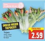 Tulpen Angebote bei E center Berlin für 2,59 €