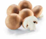 Aktuelles Champignon braun Angebot bei Netto Marken-Discount in Dresden ab 1,49 €