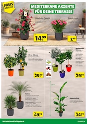 Aktueller Hagebaumarkt Prospekt mit Pflanzen, "FREU DICH AUF DRAUSSEN", Seite 2