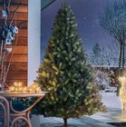 KUNSTTANNE „KETOLA XXL“  im aktuellen OBI Prospekt für 129,99 €