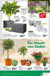 Blumentopf im BayWa Bau- und Gartenmärkte Prospekt in Nürnberg Aktueller BayWa Bau- und Gartenmärkte Prospekt mit Blumentopf, "Wunderschne Blütenpracht", Seite 15