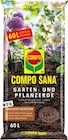 Garten- und Pflanzerde im Angebot bei Hagebaumarkt in Gelsenkirchen Garten- und Pflanzerde Angebote von COMPO bei Hagebaumarkt Gelsenkirchen für 11,99 €