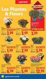 Réfrigérateur Angebote im Prospekt "Ca vaut le coup." von Lidl Réfrigérateur Angebote im Prospekt "Ca vaut le coup." von Lidl auf Seite 26