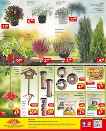 Sonnensegel Angebot im aktuellen Zimmermann Prospekt auf Seite 12