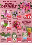 Gesteck Gesteck