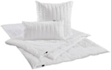 Aktuelle Kopfkissen Angebote bei XXXLutz in Stuttgart Aktuelles Ganzjahresbett Angebot bei XXXLutz in Stuttgart ab 29,99 €