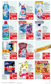 WC Reiniger im Kaufland Prospekt in Dresden Aktueller Kaufland Prospekt mit WC Reiniger, "Aktuelle Angebote", Seite 31