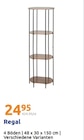 Action Cuxhaven - Regal Angebot im Prospekt Regal bei Action im Cuxhaven Prospekt für 24,95 €