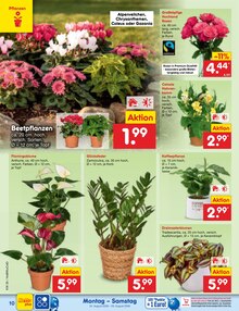 Pflanzen im aktuellen Netto Marken-Discount Prospekt (Wolfsburg) Pflanzen im Netto Marken-Discount Prospekt "Aktuelle Angebote" mit 68 Seiten (Wolfsburg)