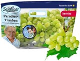 REWE Neckartenzlingen Prospekt mit  im Angebot für 2,79 €
