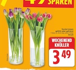Sondertulpen von  im aktuellen E center Prospekt für 3,49 €