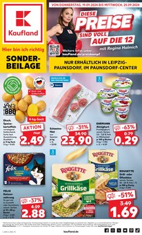 Ofenkäse im Kaufland Prospekt "Sonderbeilage" mit 8 Seiten (Leipzig)